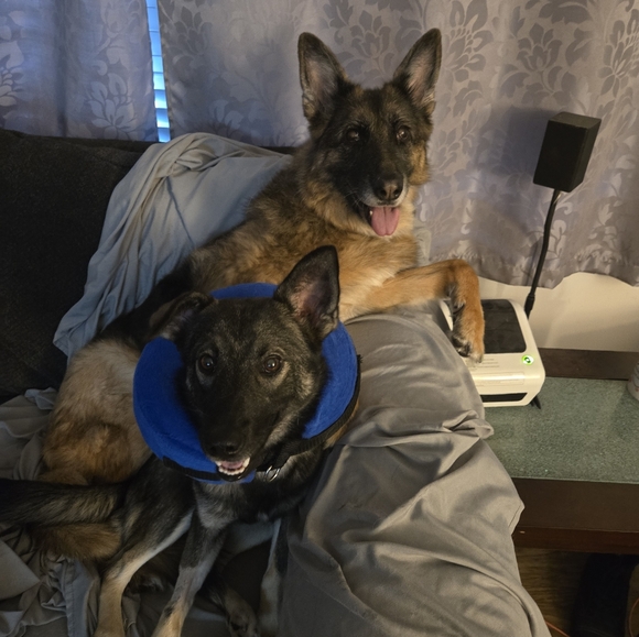 Hi! I'm Chantelle! Welcome to Lady Lily’s Boutique - Picture 11 of 16